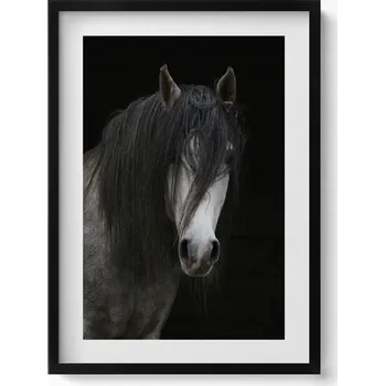 Obraz Elegantní obraz v černém rámu Hlava šedého koně 50x70 cm