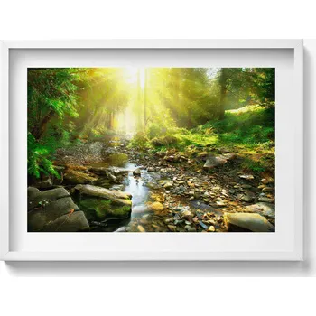 Obraz Nástěnný obraz dekorace interiéru Lesní potůček ve slunečních paprscích 70x50 cm