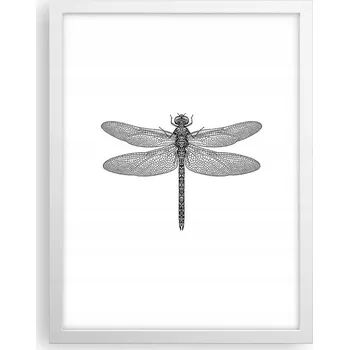 Obraz Obraz plakát v bílém rámu do obýváku 30x40 vážka foto plakáty na zeď