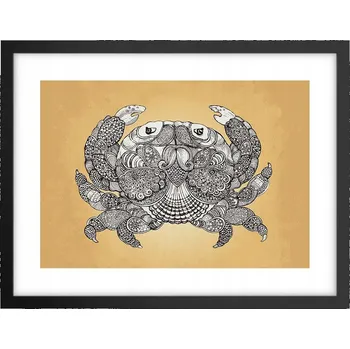 Obraz Obraz plakát v černém rámu do obýváku 40x30 krab fotografie plakáty na zeď