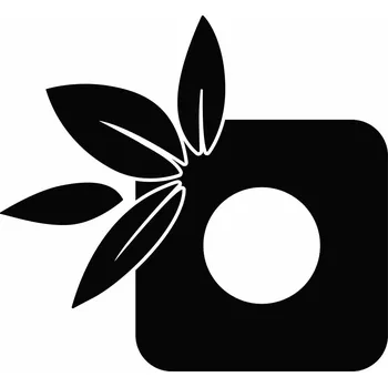 Obraz Samolepka pod vypínač Drukant motiv listí 22 x 20 cm černá