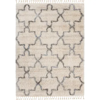 Koberec KOBEREC SHAGGY 120x170 Versay Boho s třásněmi v9