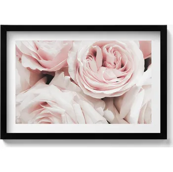Obraz Obraz v černém rámu do obýváku Bledě růžové květy jemné růže 60x40 cm