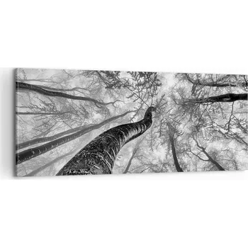 Obraz Foto obraz na plátně canvas 100x40 les obývák ložnice na zeď velký