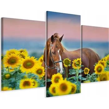 Obraz Obraz Triptych KŮŇ Květiny Slunečnice 3D 90x60
