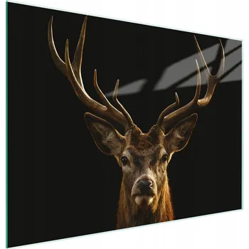 Kuchyňské prkénko Krájecí deska TMK ArtDeko sklo 1 ks