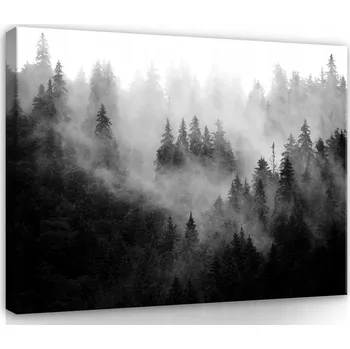 Obraz OBRAZ NA PLÁTNĚ CANVAS 100x75 LES MLHA HORY POHLED