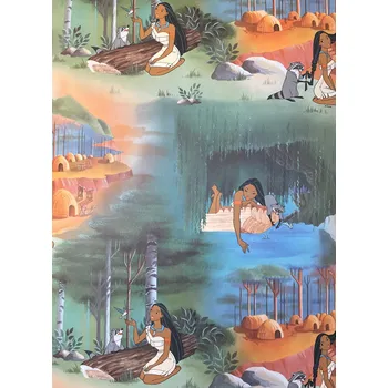 Fototapeta Tapeta na zeď Pocahontas Disney 50277-965