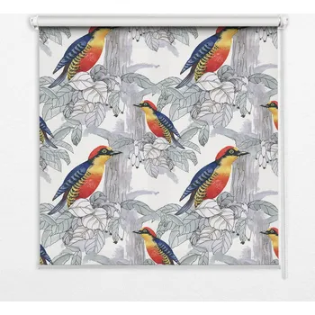 Prostěradlo Polozatemňovací roleta Coloray 80 cm x 180 cm