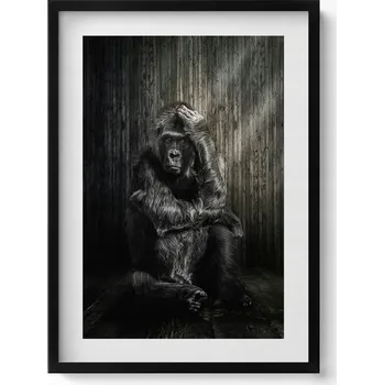 Obraz Dekorativní obraz v černém rámu na zeď Přemýšlivá opice ve stínu 50x70 cm