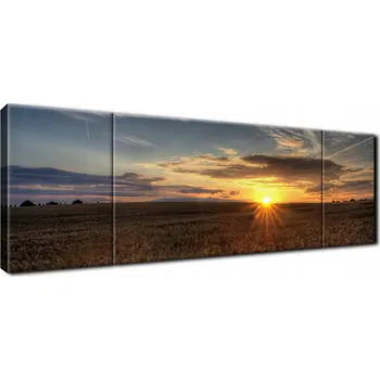 Obraz FOTO OBRAZ do pokoje obýváku 170x50 Západ slunce nad obilným polem