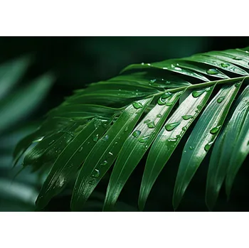 Plakát Plakát Živá Jemnost bez rámu 29,7 x 21 cm