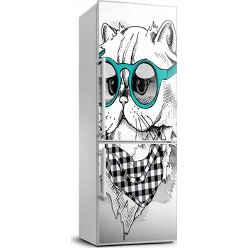 Fototapeta Samolepka na lednici Kočka v brýlích 70x190 cm