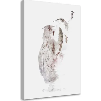 Obraz Obraz na plátně Uprchající sova 70x100