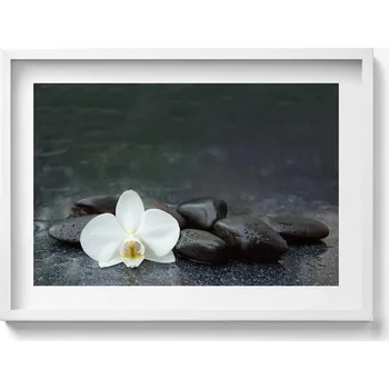 Obraz Elegantní obraz do obýváku v bílém rámu Bílý květ kameny Zen 70x50 cm
