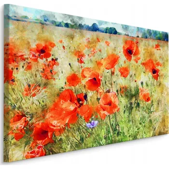 Obraz Obraz KVĚTINY Vlčí máky Louka Malba Dekorace 3D 30x20