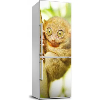 Fototapeta Samolepka na lednici - polep Výr strašidelný XL