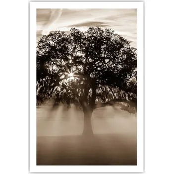 Obraz Obraz plakát do obýváku ložnice 61x91 krajina plakáty na zeď bez rámu