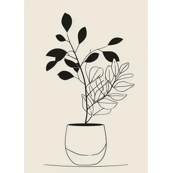 Plakát Plakát Jednoduchost Květináče bez rámu 39,5 x 55 cm