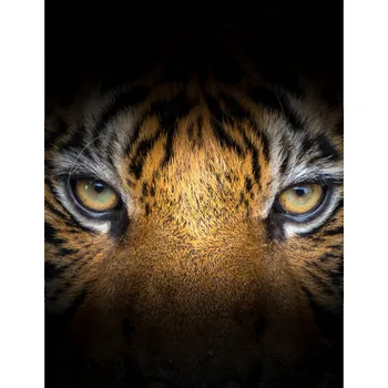 Kuchyňské prkénko Skleněná Ochranná Deska a Krájecí Prkénko | Indukce, Sporák ds-0535