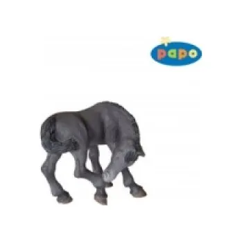 LUŽICE ČERNÝ MLÁDĚ