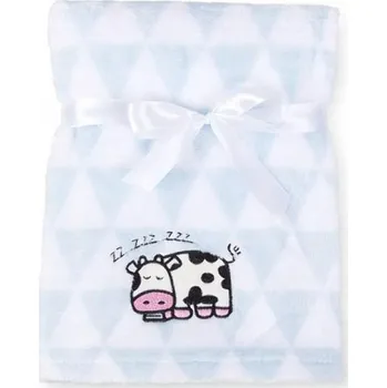 Dětská deka Deka RICCO s výšivkou 75x100 cm