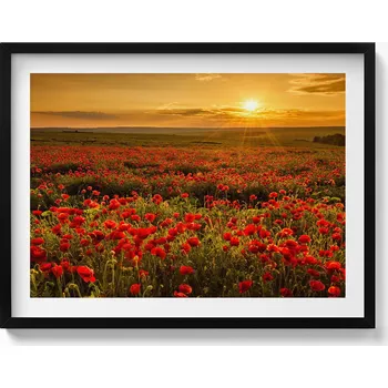 Obraz Nástěnný obraz v černém rámu s grafikou Krajina louky s květy vlčích máků 80x60 cm