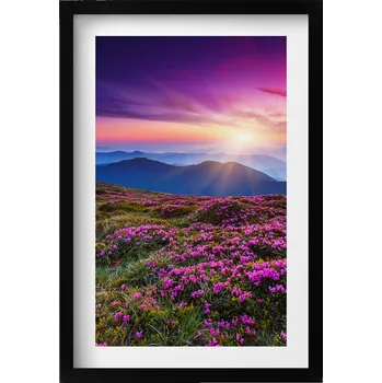 Obraz Dekorativní obraz v černém rámu do obýváku Východ slunce květiny 40x60 cm