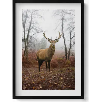 Obraz Nástěnný dekorativní obraz v rámu s grafikou Jelen v podzimním lese 50x70 cm