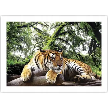 Obraz Plakát bez rámu do obýváku, ložnice 70x50 tygr moderní módní obraz
