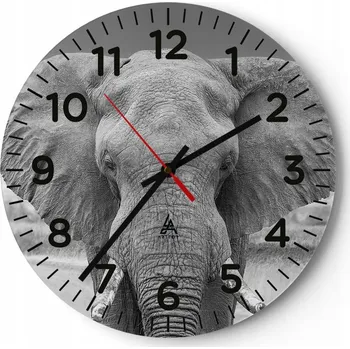 Hodiny Kuchyňské nástěnné hodiny 30x30 Slon Moderní skleněné hodiny do obýváku Tiché