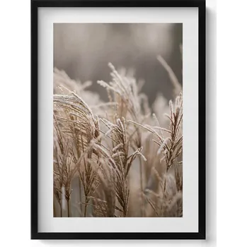 Obraz Obraz v rámu na zeď do obýváku Boho – jemné trávy, 50x70 cm