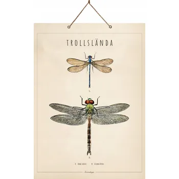 Obraz OBRAZ PLAKÁT na kartonu WASZKA 46x33cm