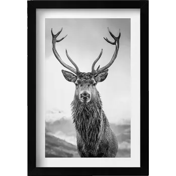 Obraz Ozdobný nástěnný obraz v černém rámu Černobílé zvíře jelen 20x30 cm