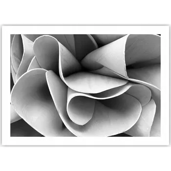 Obraz Plakát bez rámu do obývacího pokoje ložnice 70x50 abstrakce moderní módní obraz