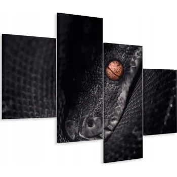 Obraz Čtyřdílný obraz Zblízka HADA Zvíře 3D 80x50