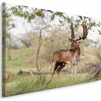 Obraz Obraz do ložnice Jelen Stromy ZELEŇ Dekor 70x50