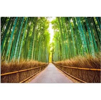 Obraz Dekorační panel Les bambusový 50x40