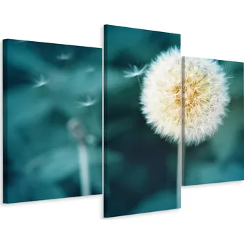 Obraz Obraz Tryptych KVĚT PAMPELIŠKY Makro Detail 60x40