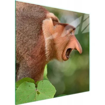 Kuchyňské prkénko Krájecí deska TMK ArtDeko sklo 1 ks