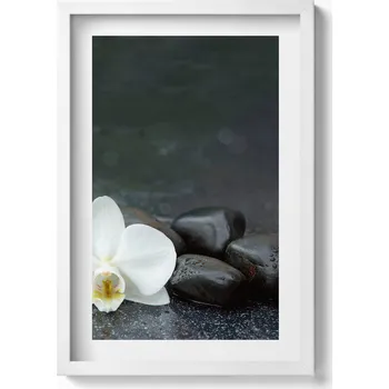 Obraz Dekorativní nástěnný obraz v rámu do obýváku Bílý květ kameny Zen 40x60 cm