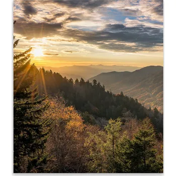 Kuchyňské prkénko Skleněná Ochranná Deska a Krájecí Prkénko | Indukce, Sporák ds-0407