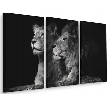 Obraz Obraz Tryptych LEV Lvice Zvířata Dekor 3D 60x40