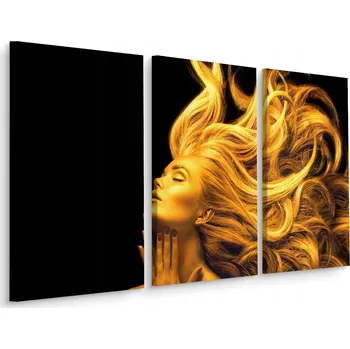 Obraz Obraz Tryptych ZLATÝ Portrét Ženy Dekor 60x40