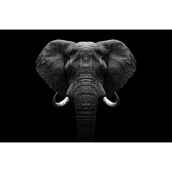 Kuchyňské prkénko Skleněná Ochranná Deska a Krájecí Prkénko | Indukce, Sporák ds-0572