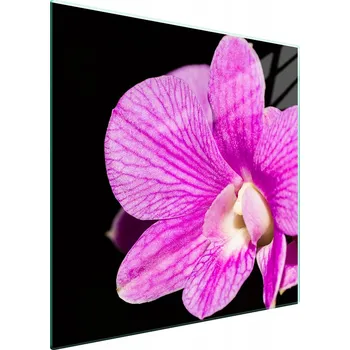 Kuchyňské prkénko Krájecí deska TMK ArtDeko sklo 1 ks