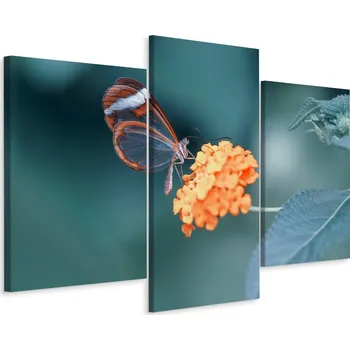 Obraz Obraz Triptych MOTÝL Květ Květina Příroda Makro 3D 60x40