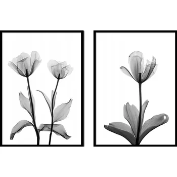 Obraz OBRAZ PLAKÁTY V RÁMU 53x73cm Dyptych Sada 2 obrazů Černé Květiny P1712