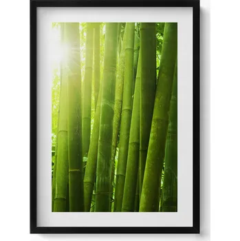 Obraz Dekorativní obraz v černém rámu do obýváku Zelené stonky bambusu 50x70 cm