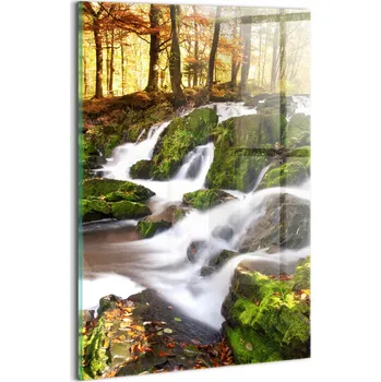 Obraz Obraz na Skle Nástěnná Dekorace do Kanceláře Proud v podzimním lese 20x30